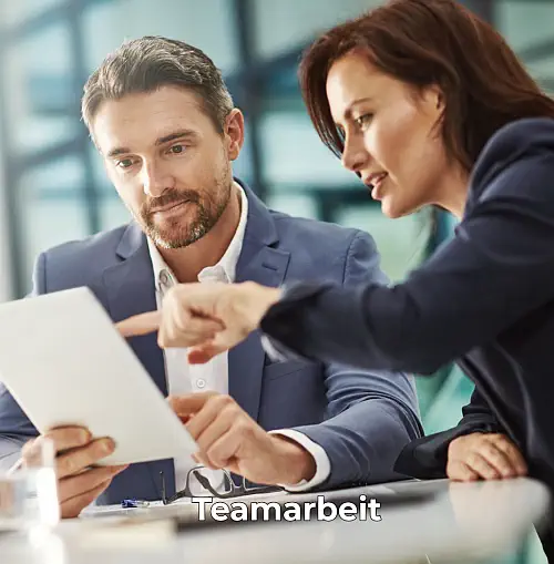 Teamarbeit-3 Teamarbeit -Neurovoice